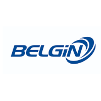 BELGİN